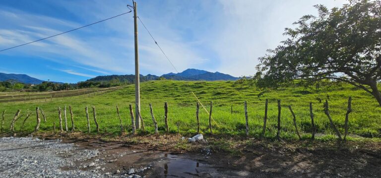 Chiriqui