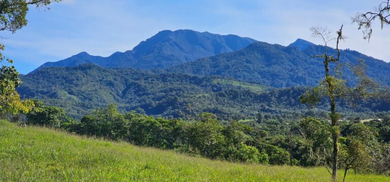 Lote Residencial 2 Boquerón
