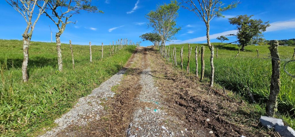 Finca En Venta