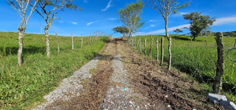 Finca En Venta
