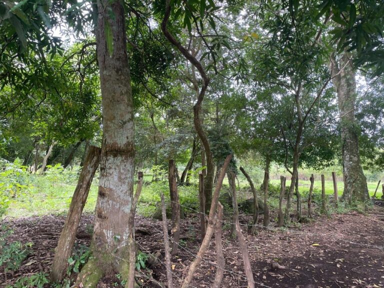 Lote en Las Cañas