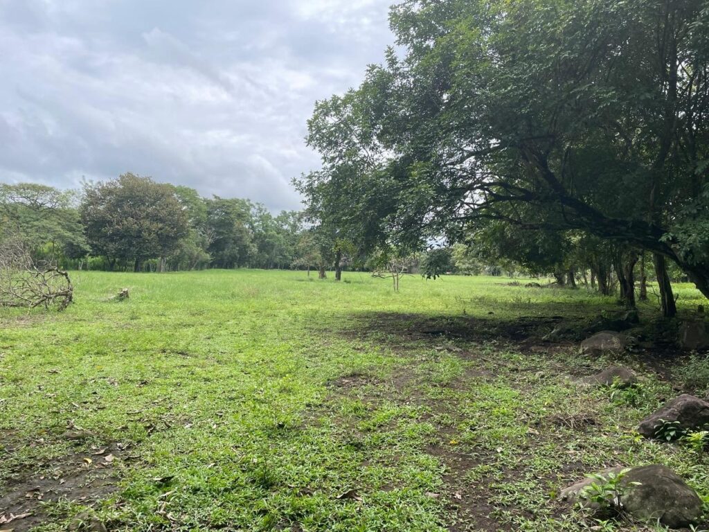 Finca En Venta