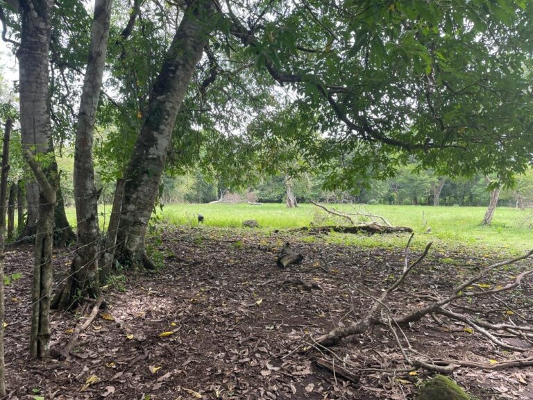 Chiriqui