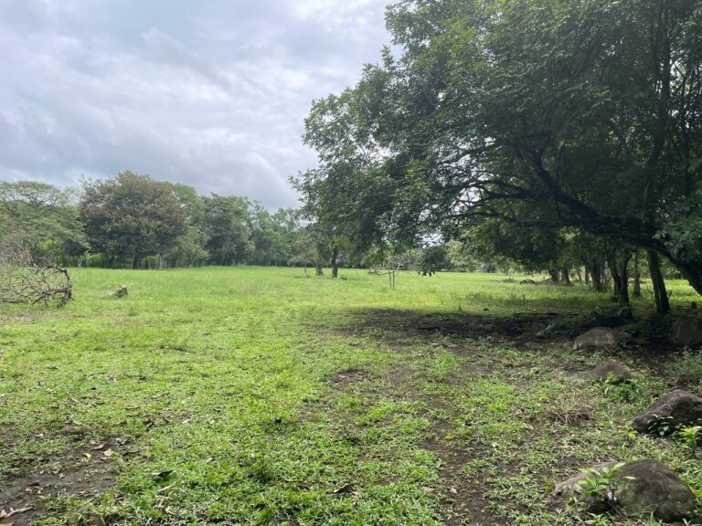 Finca En Venta