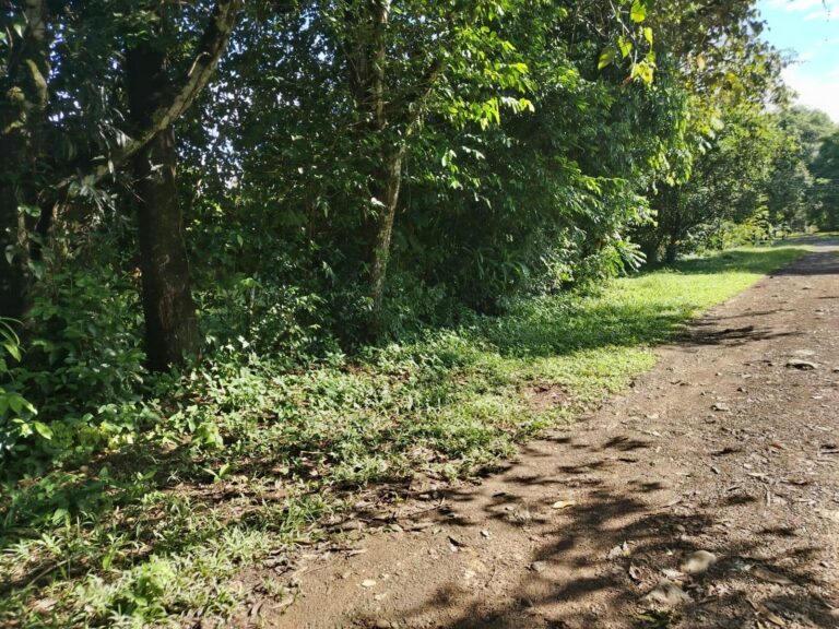 Chiriqui