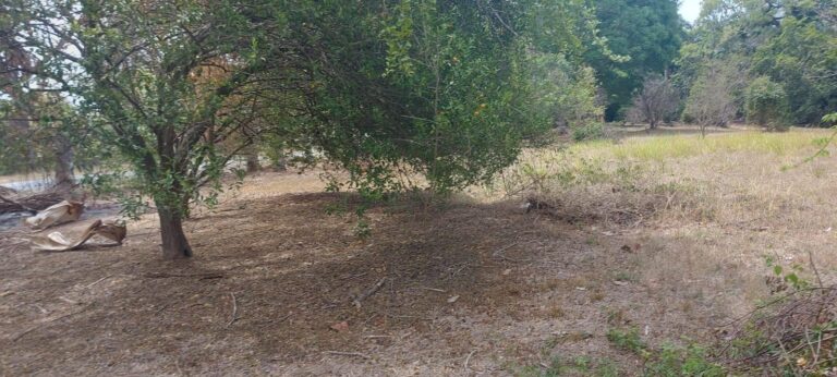 Finca En Venta