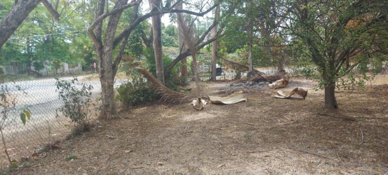 Finca En Venta