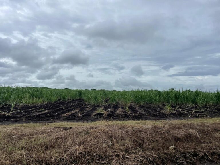 Finca En Venta