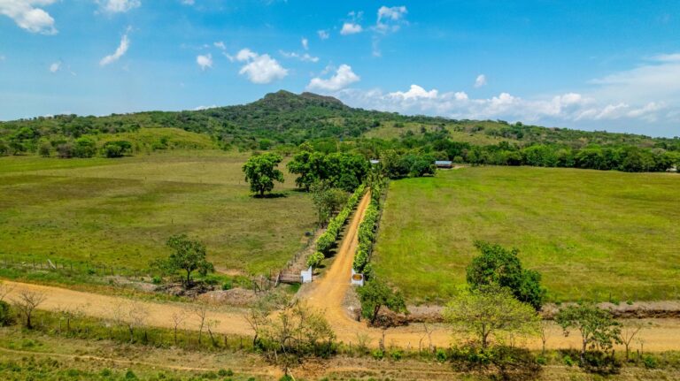 Finca En Venta