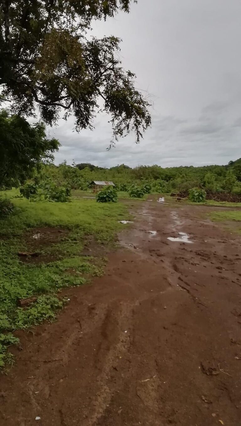 Pocrí