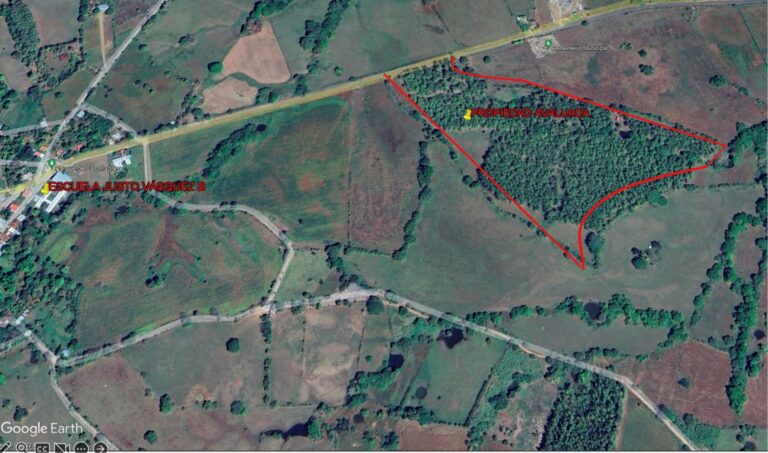 Finca En Venta