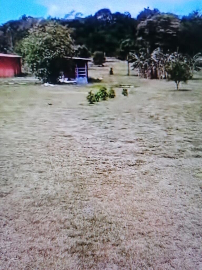 TERRENO EN LAS UVAS