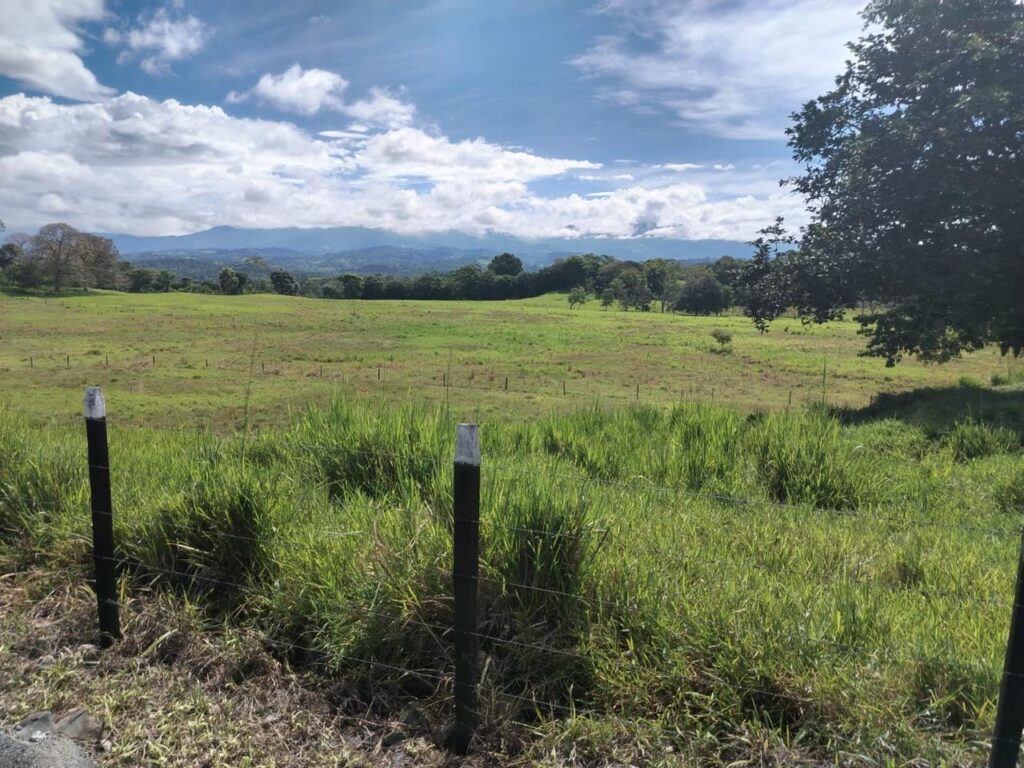 TERRENO EN MONTE LIRIO- CAISÁN