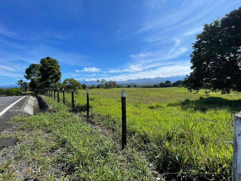 Finca En Venta