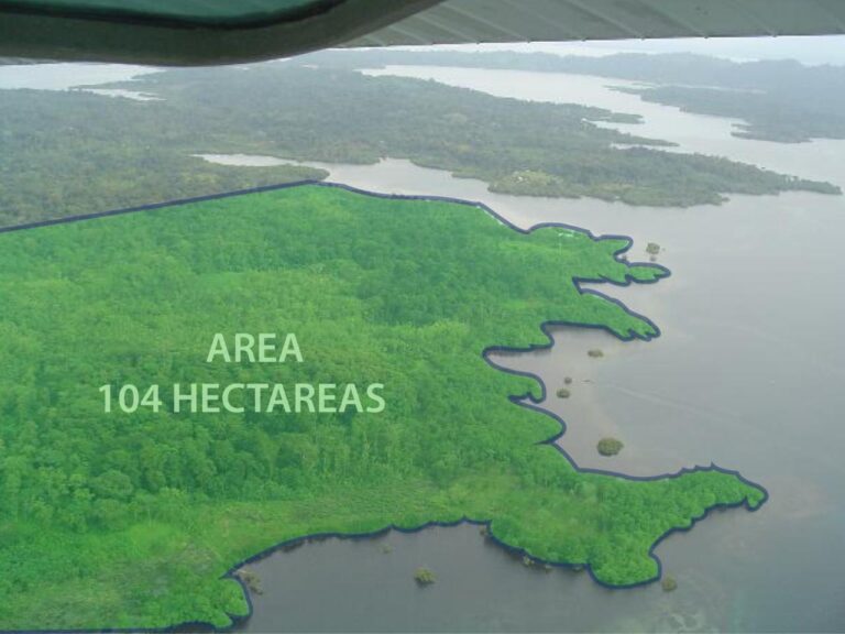 Finca En Venta