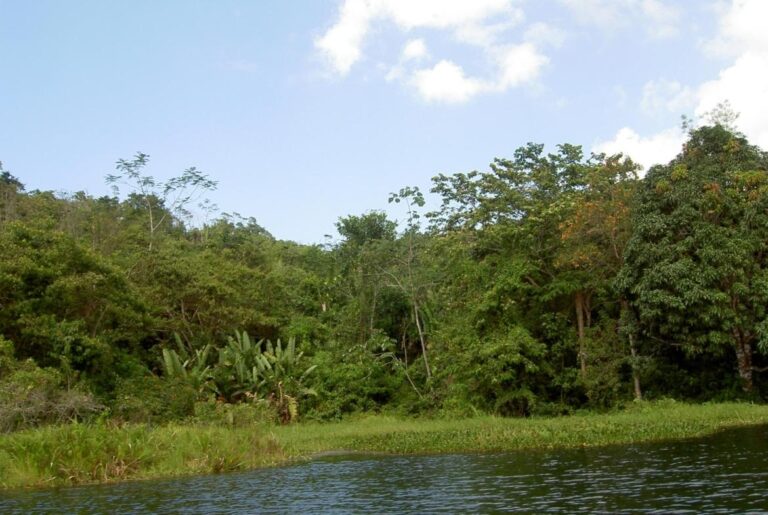 Terreno El Limón
