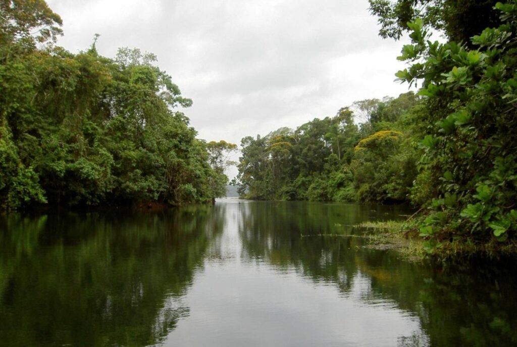 Finca En Venta
