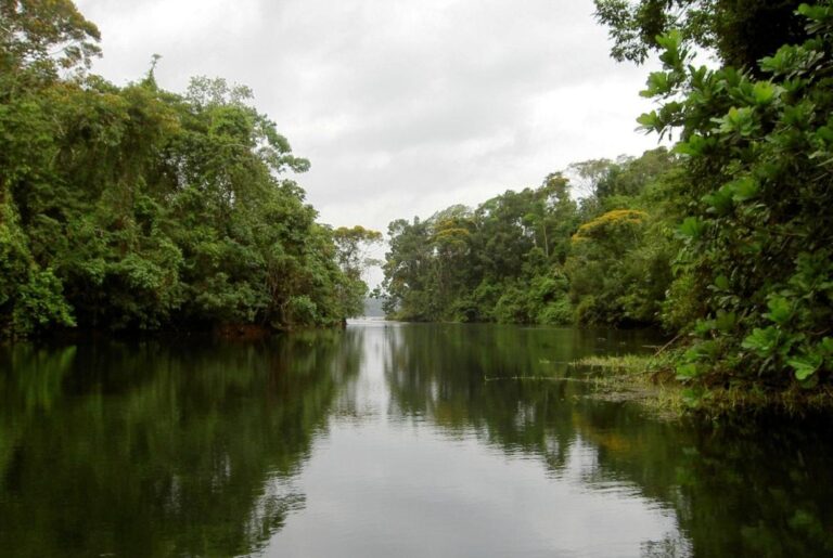 Finca En Venta