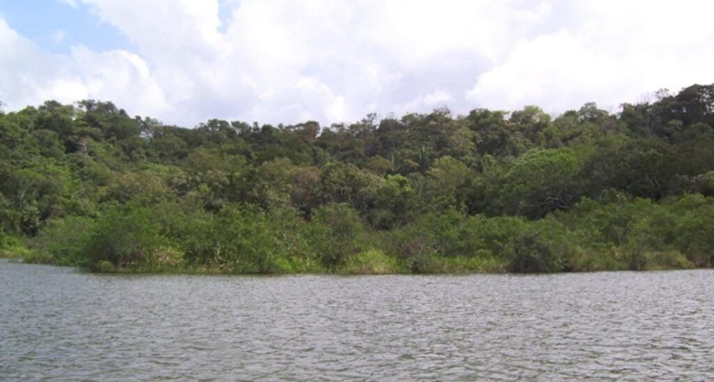 Finca En Venta