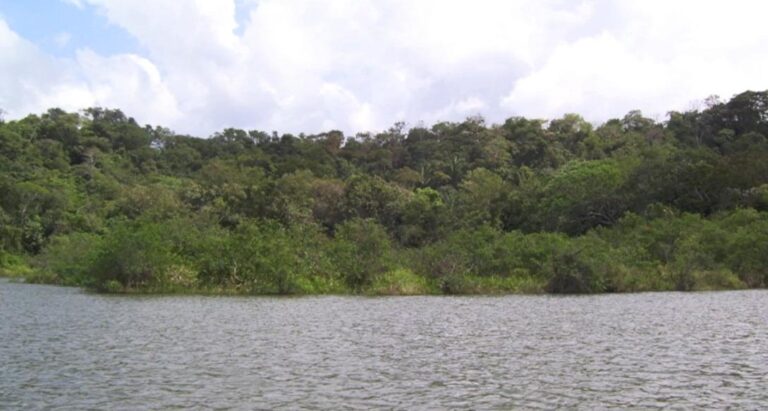 Finca En Venta