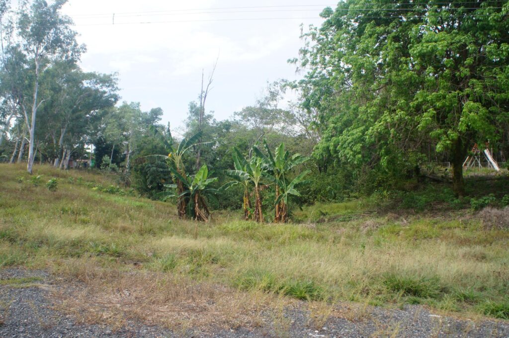 Chiriqui