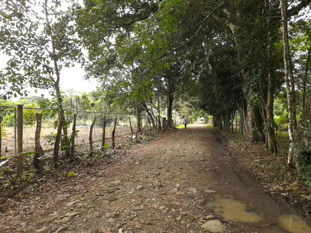 Terreno en Caldera