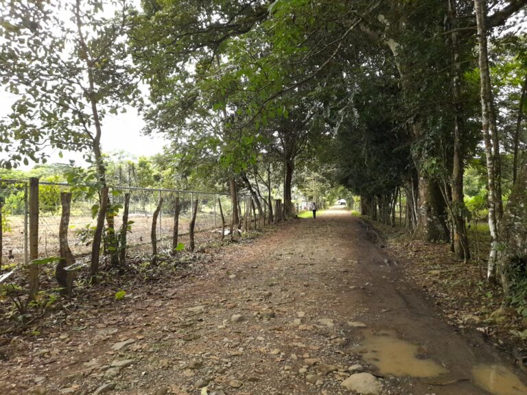 Terreno en Caldera