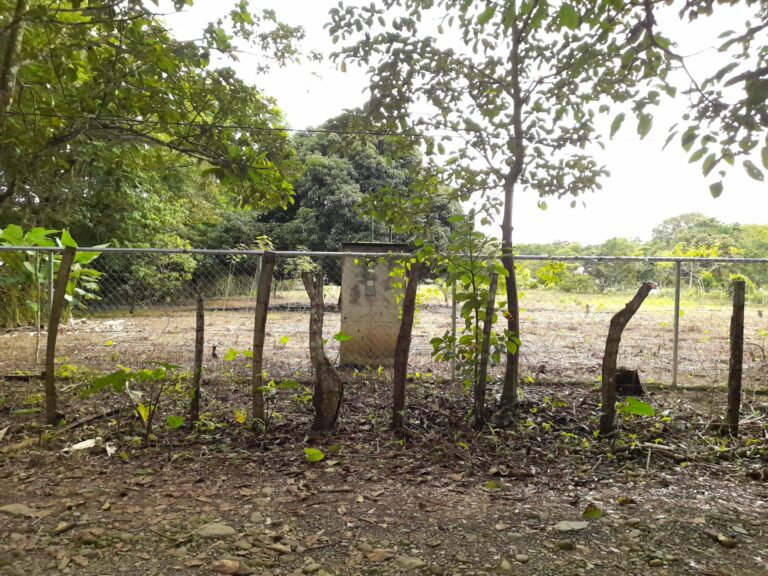 Chiriqui
