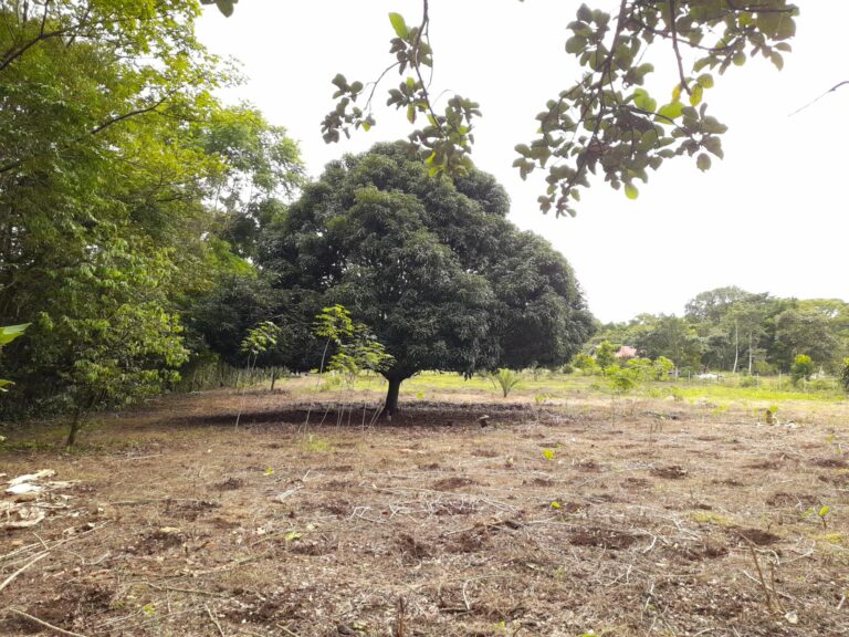 Finca En Venta