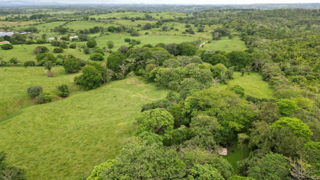 Panamá Oeste