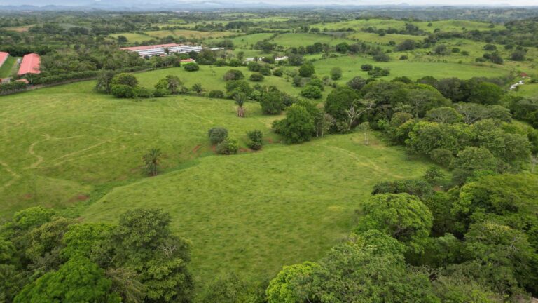 Finca En Venta