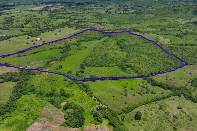 Venta de Finca Los Higos
