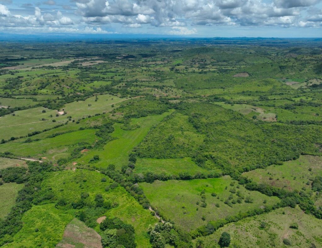 Panamá
