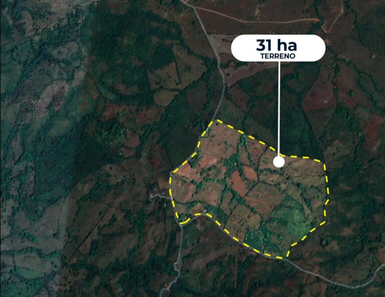 Finca En Venta