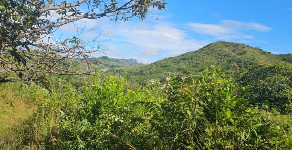 Venta de Finca en El Harino