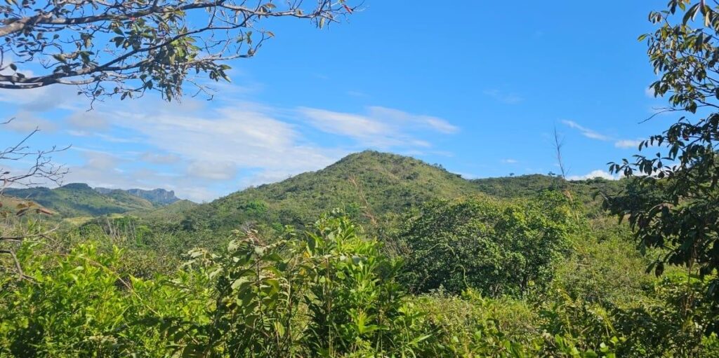 Finca En Venta