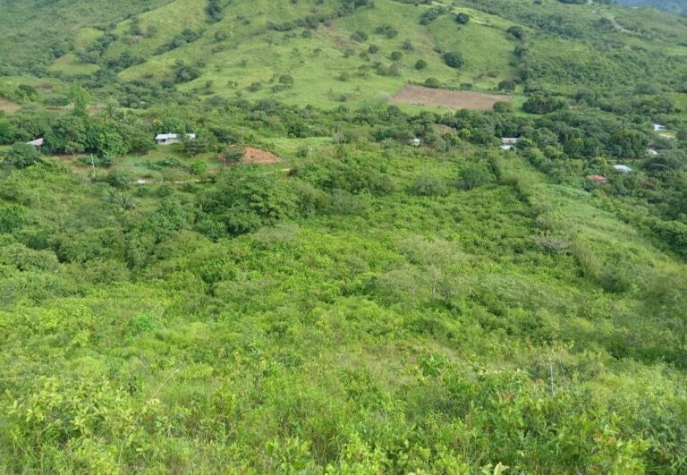 Coclé