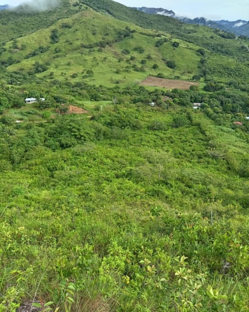 Panamá