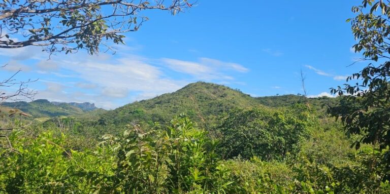 Finca En Venta