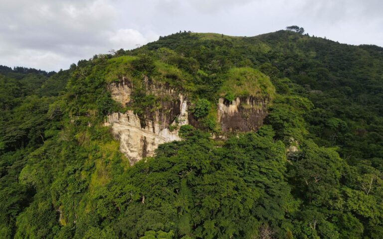 Finca En Venta