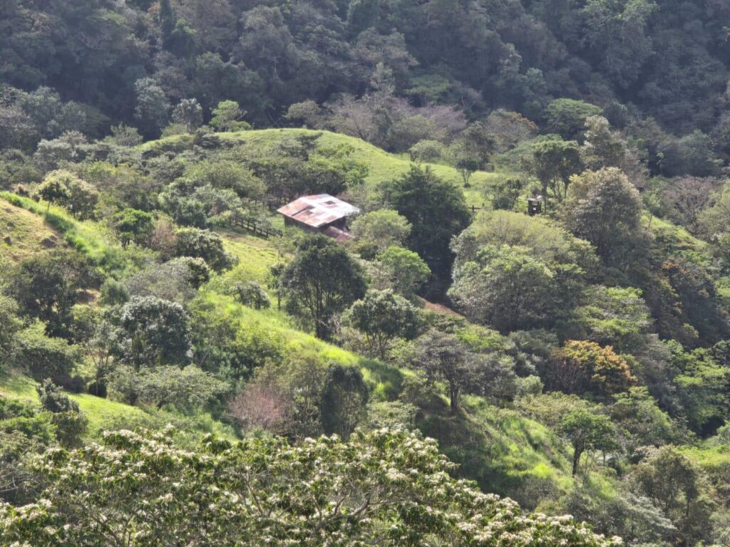 finca en caldera