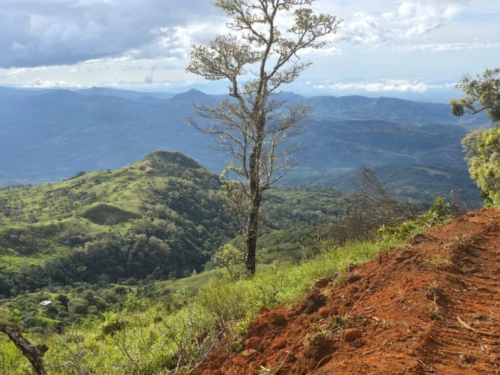 La Esperanza