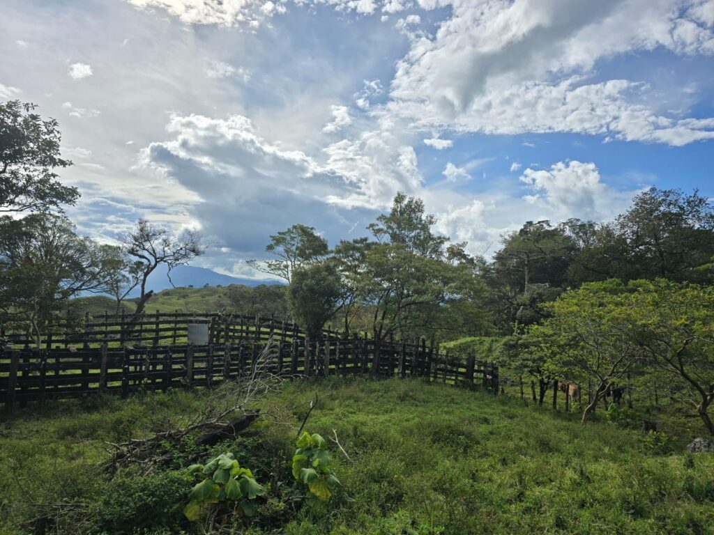 Chiriqui