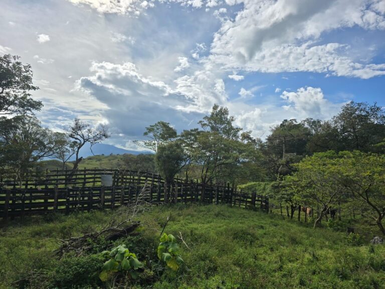 Chiriqui
