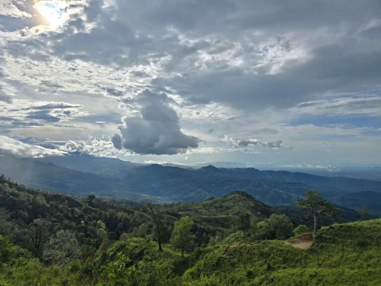 Finca En Venta