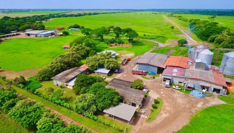 Finca Arrocera Operativa