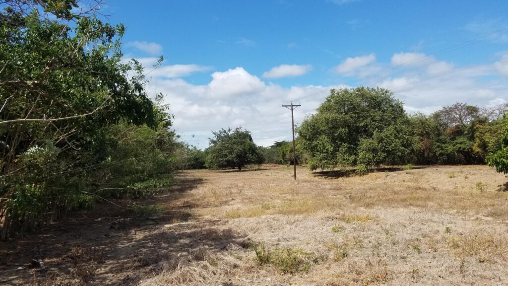 1.3 hectare lot in Rio Hato