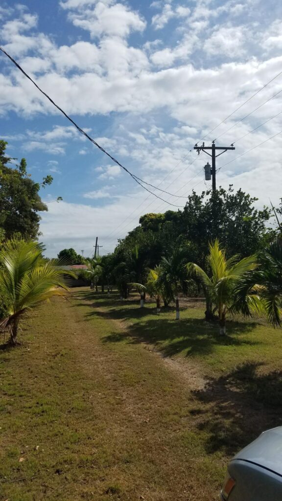 Panama.