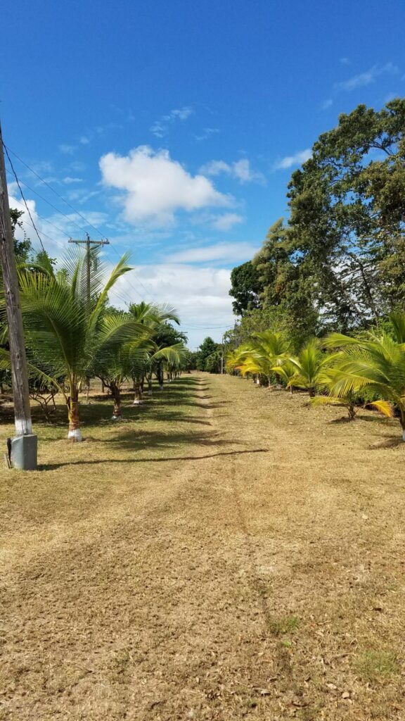 Río Hato