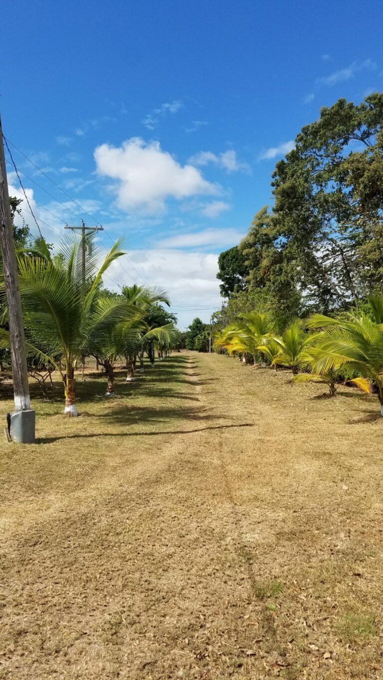 Río Hato